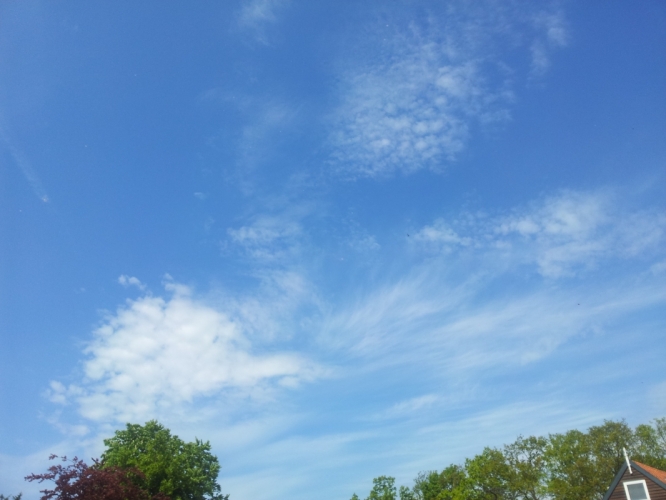 Tennisbaan, Bergen 18-5-'12
