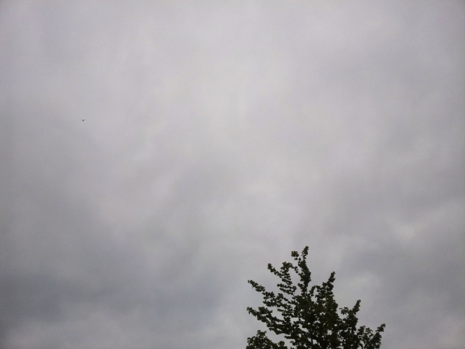 Compleet bewolkt, Bergen 18-5-'12
