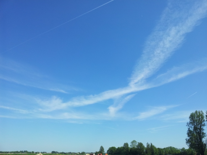 Bergen, polder 26 - 5 - '12
