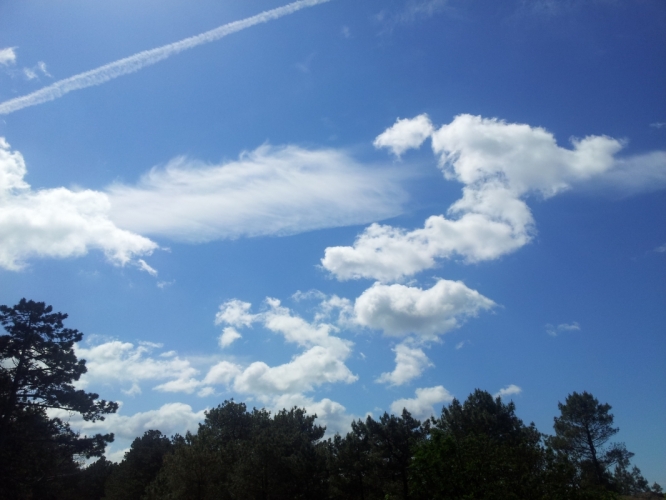 Duinen Schoorl 2 - 6 - '12
