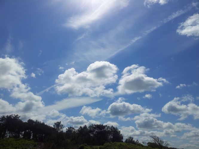 Duinen Schoorl 2 - 6 - '12
