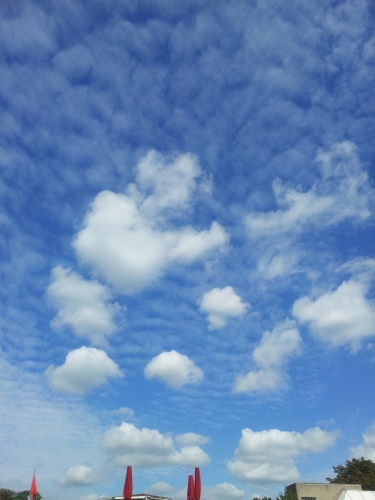 2012-09-01_WOLK.jpg