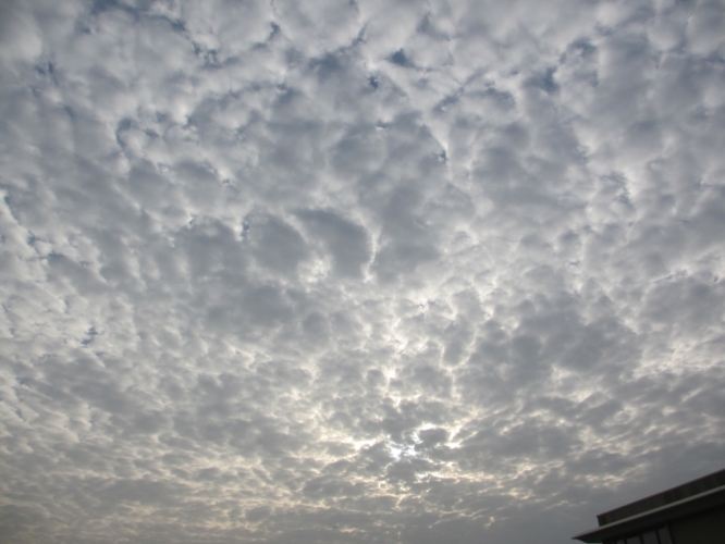 Noordwijk aan zee, 23 - 10 - '12
