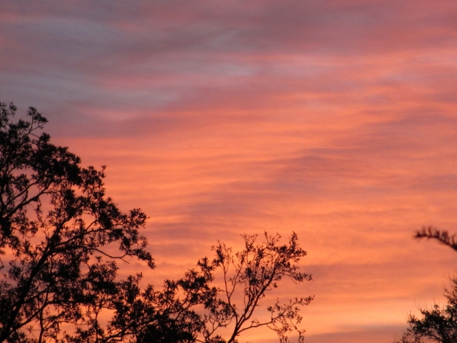 Bergen,16 - 10 - '12
