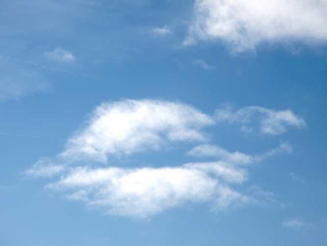 De Kus, 14 - 11 - '12, Haarlem
