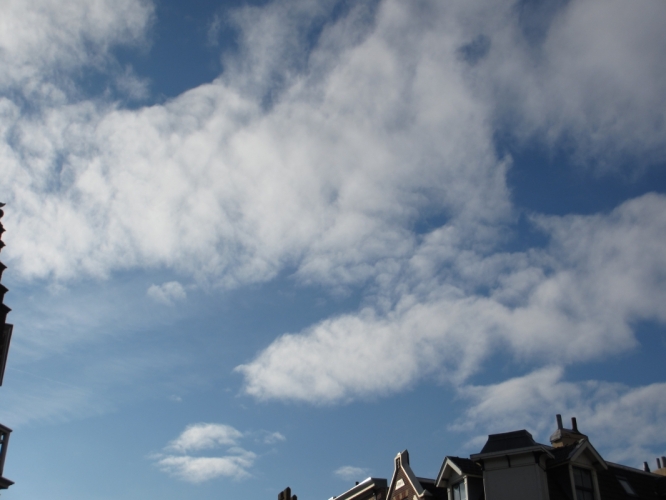 Haarlem, 14 - 11 - '12
