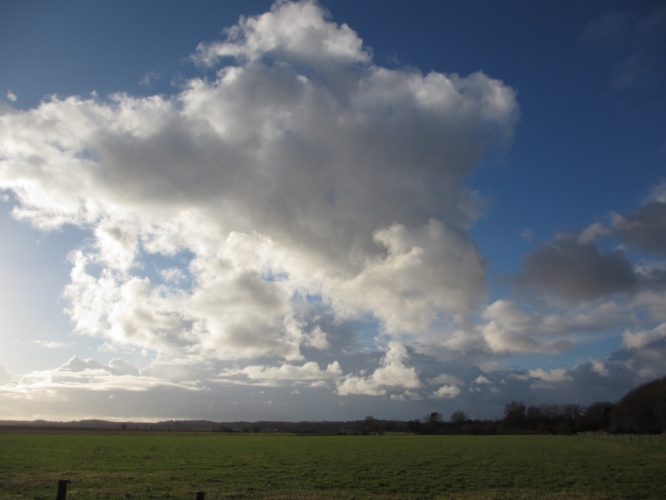 Polder Bergen, 2 - 12 - '12
