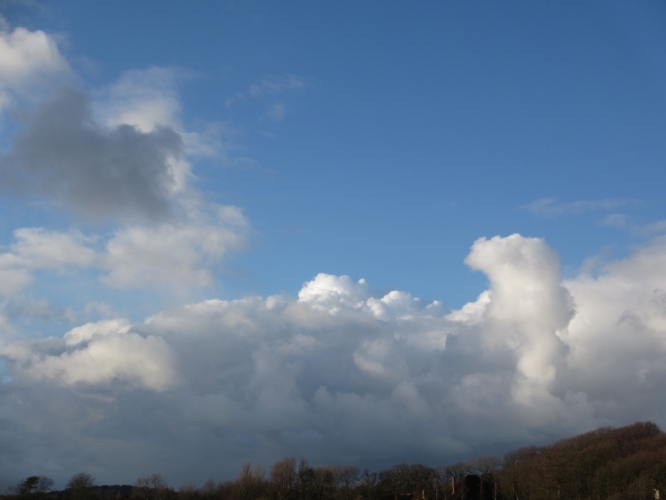 Polder Bergen, 2 - 12 - '12

