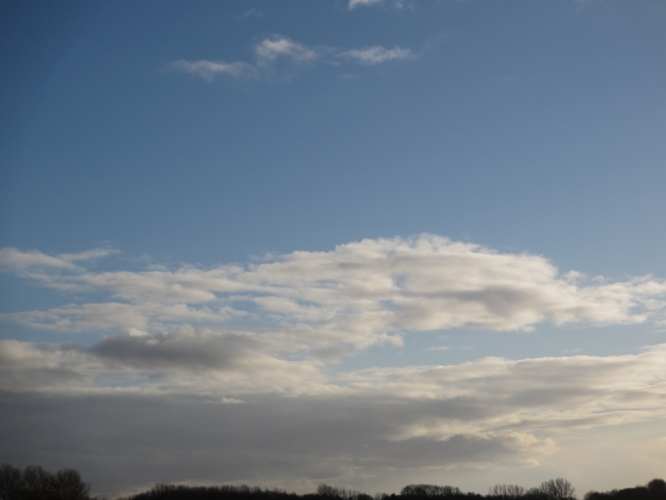 Polder Bergen, 2 - 12 - '12
