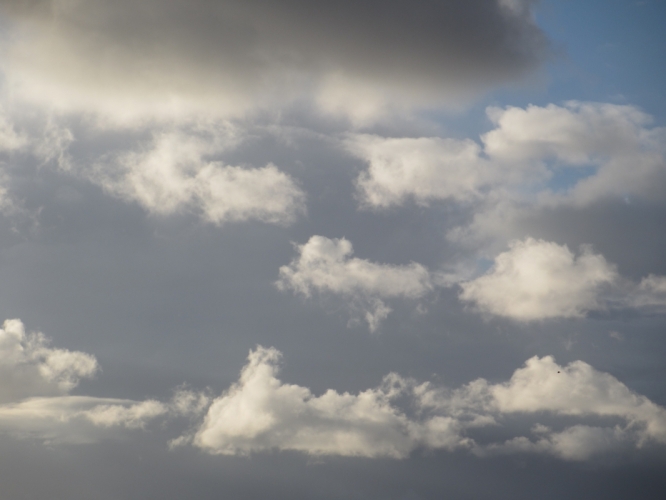 Polder Bergen, 2 - 12 - '12
