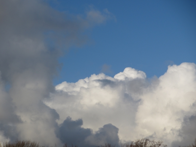 Polder Bergen, 2 - 12 - '12
