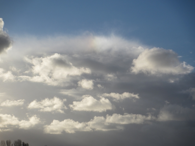 Polder Bergen, 2 - 12 - '12
