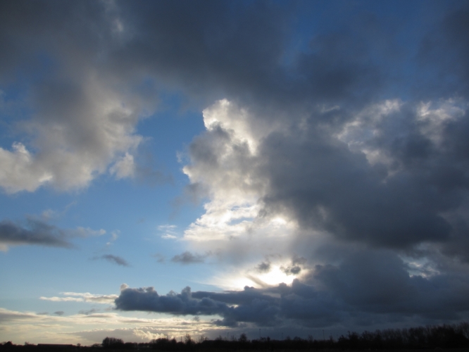Polder Bergen, 2 - 12 - '12
