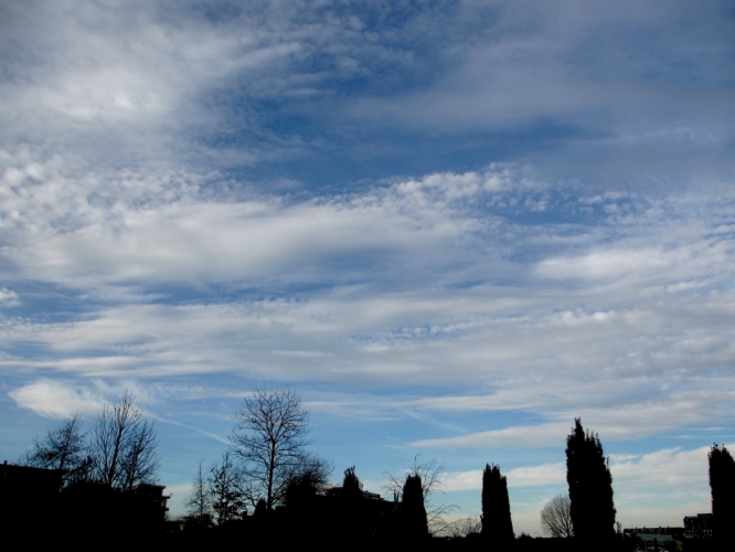 Dordrecht, 29 - 12 - '12
