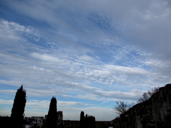 Dordrecht, 29 - 12 - '12
