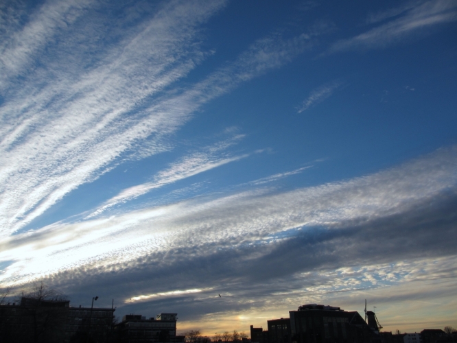 Dordrecht, Villa Augustus, 29 - 12 - '12
