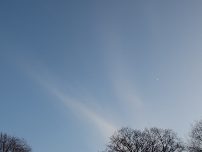 16 - 1 - '13, tuin Geelvinck Hinlopen Huis
