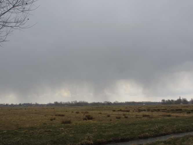 Sneeuw! Zuurvenspolder, Bergen, 31 - 3 - '13
