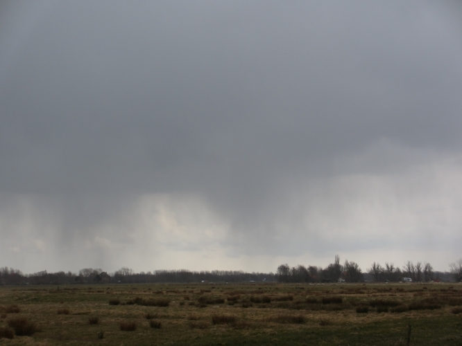 Sneeuw! Zuurvenspolder, Bergen, 31 - 3 - '13
