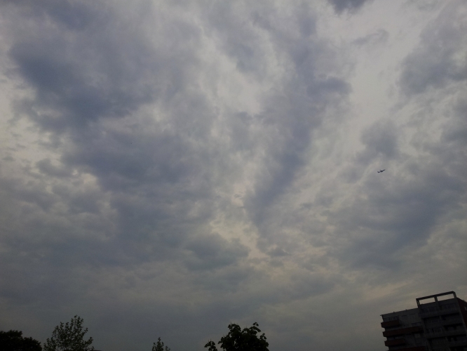 19 - 6 - '13, plein bij V&D Amstelveen.
