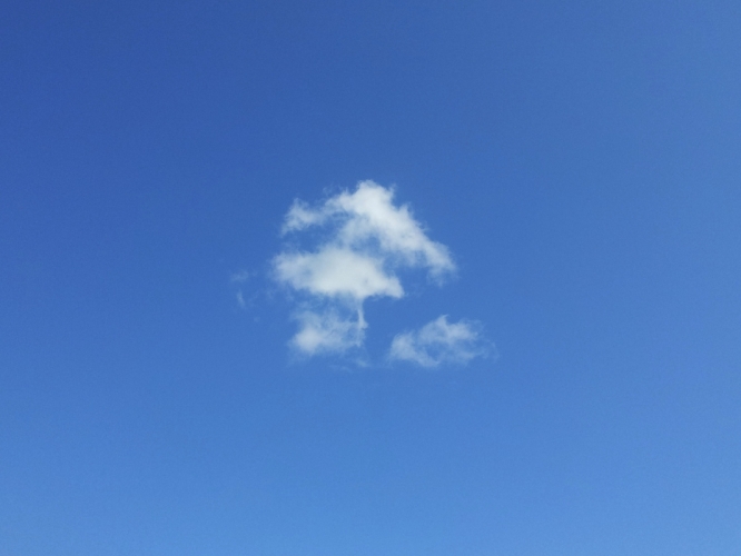 14 - 8 - '13, Bergen, Plein.
