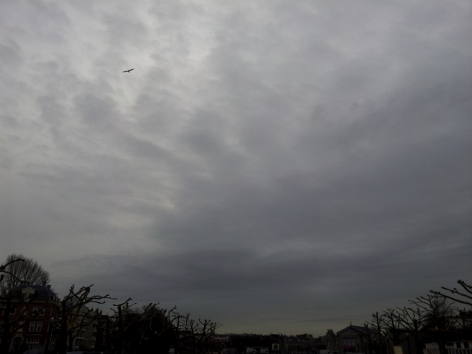 20 - 11 - '13, Museumplein.
