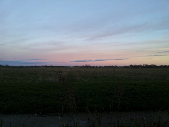 Polder Bergen, 22 - 11 - '13.
