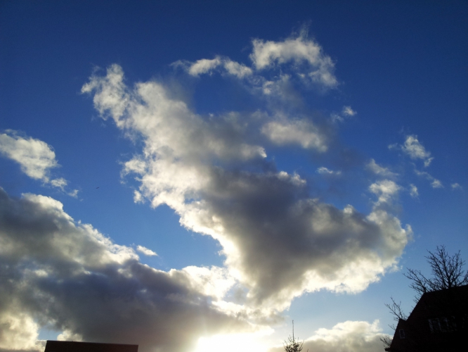 24 - 12 - '14, Santpoort.
