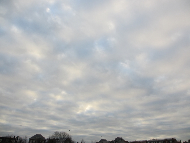 2 - 12 - '15, Museumplein.
