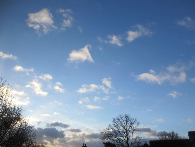 23 - 12 - '15, Bergen.

