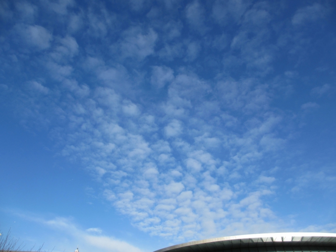 25 - 2 - '15, Museumplein.
