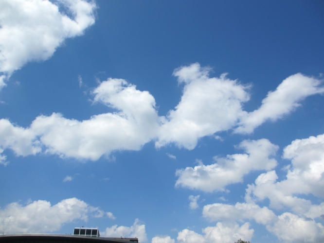10 - 6 - '15, Museumplein.

