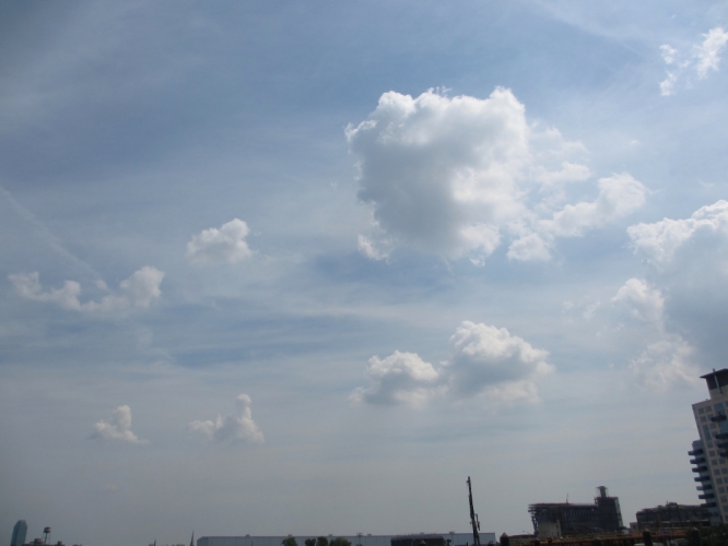 29 - 7 - '15, Brooklin, New York.
