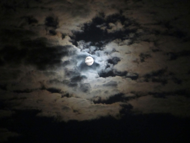 Bergen, 18 - 8 - '13
