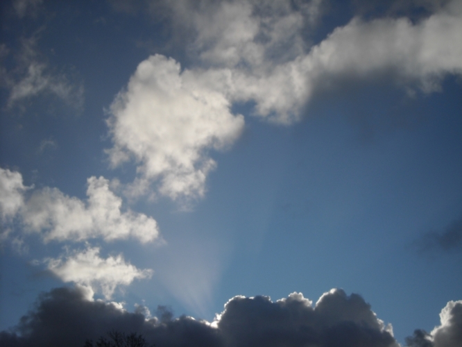 Bergen 2 december '11
