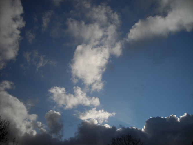 Bergen 2 december '11
