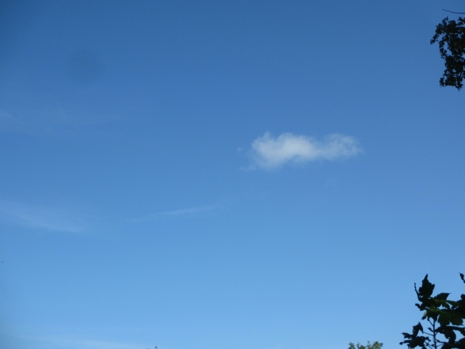 13 - 8 - '14, Chilham.
