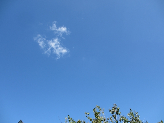 27 - 8 - '14, Santpoort.
