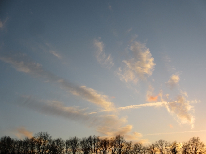 Twekkelo, 19 - 12 - '14.
