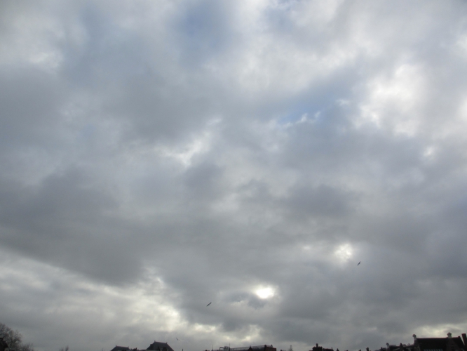 7 - 1 - '15, Museumplein.
