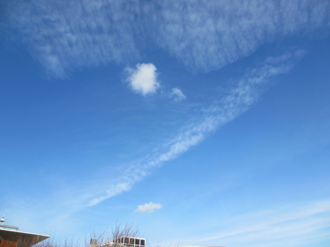 Procent-Museumplein, 11 - 3 - '15
