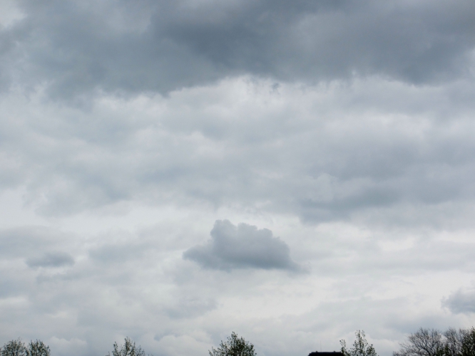 29 - 4 - '15, Museumplein.
