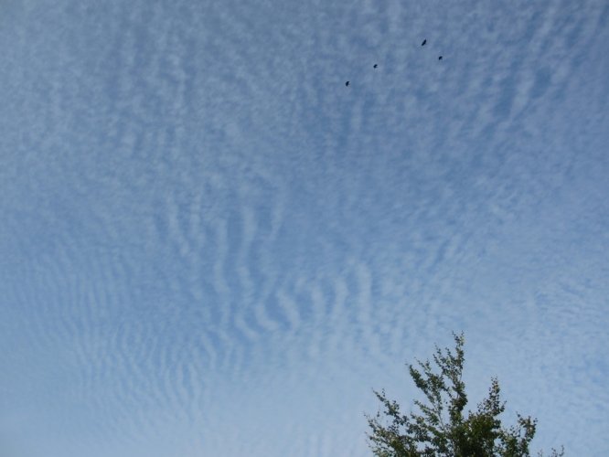 7 - 8 - '13, Bergen.
