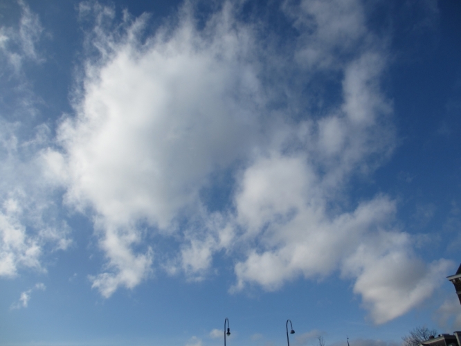 5 - 2 - '14, Museumplein.
