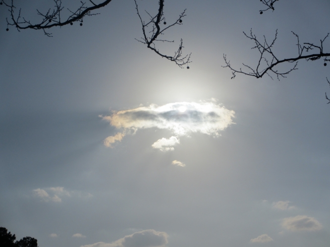 Lake Lanier, 22 - 3 - '14.
