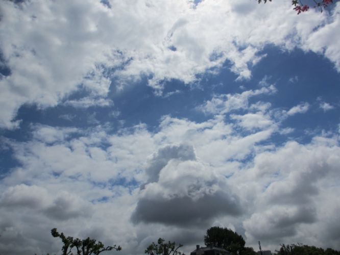 Museumplein, 18 - 6 - '14.
