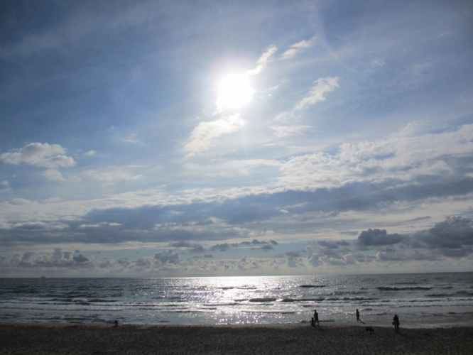 Bergen aan zee, 29 - 6 - '14.
