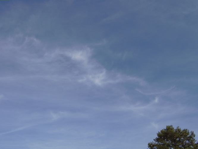 Allatoona Lake nov. '11
