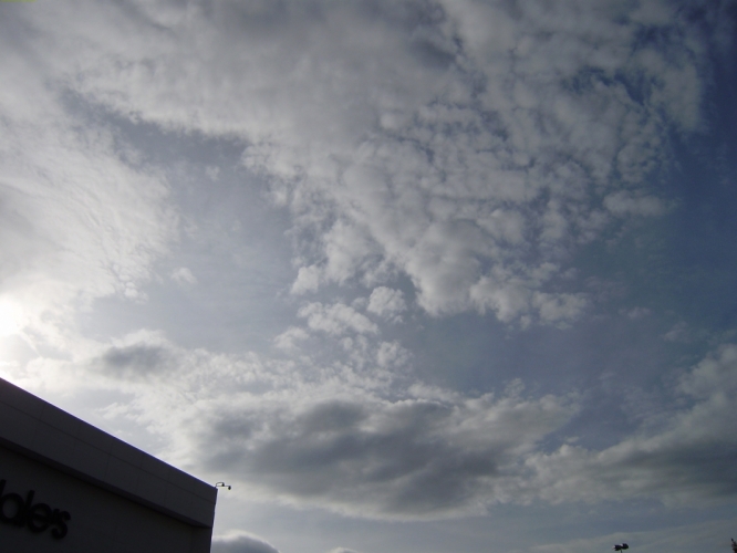 Barnes & Nobel Atlanta 11 nov. '11
