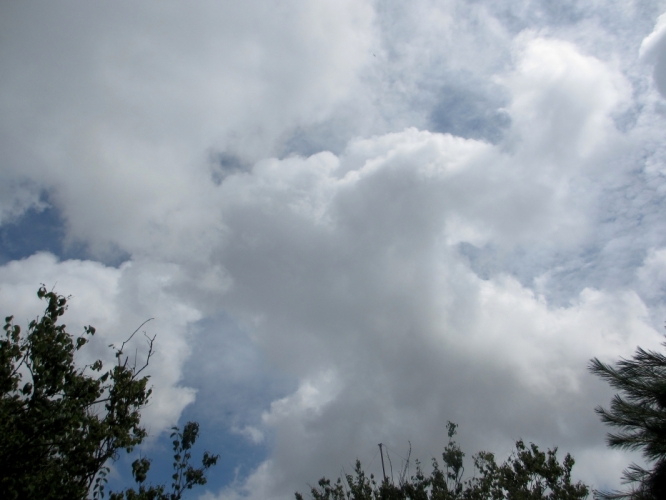 31 - 7 - '13, Santpoort.
